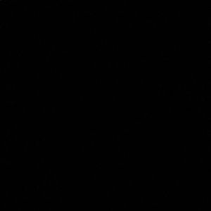 Meet your Posher, Nadine